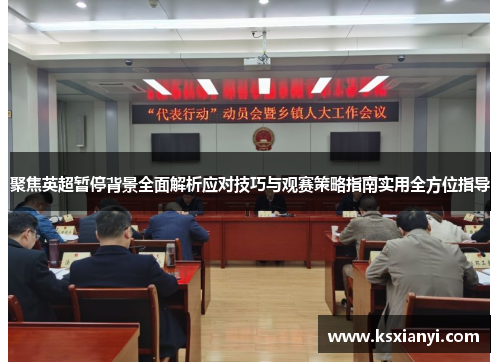 聚焦英超暂停背景全面解析应对技巧与观赛策略指南实用全方位指导 聚焦英超暂停背景全面解析应对技巧与观赛策略指南实用全方位指导