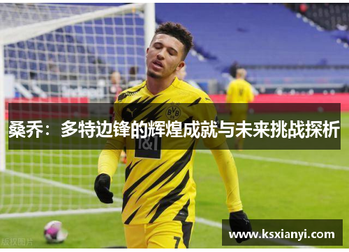 桑乔：多特边锋的辉煌成就与未来挑战探析